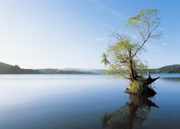 calm-lake
